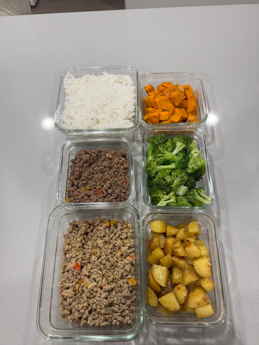 Post-training — what Zay eats